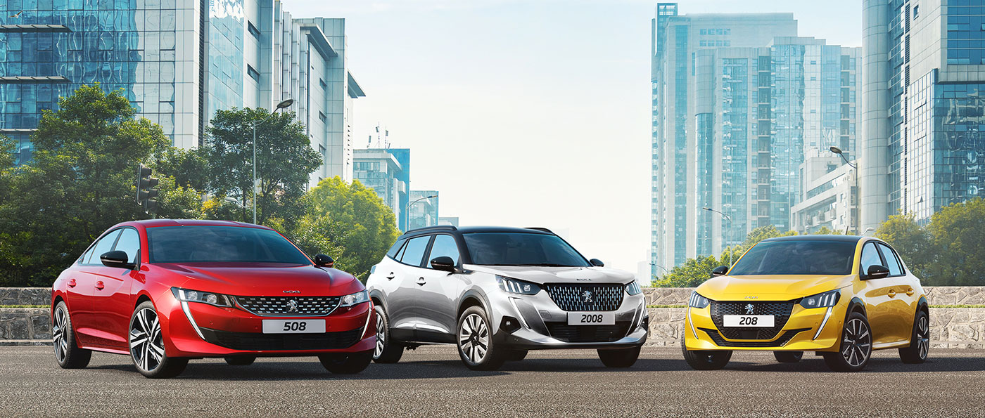 DRIVE • EXPLORE • ENJOY 